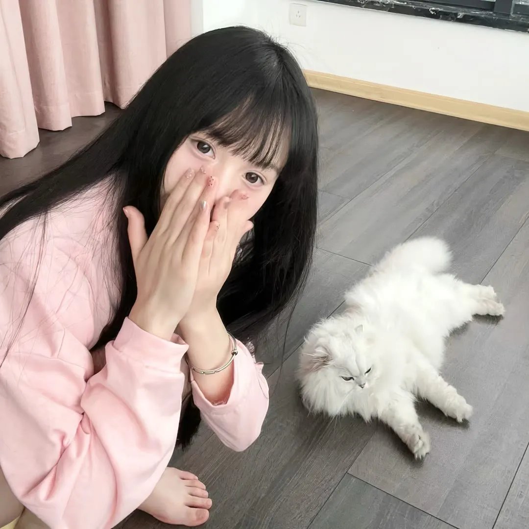 完美革命