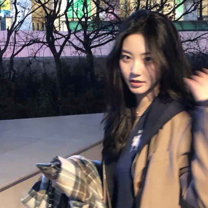羊惧